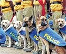 A file photo of the police dog squad at a parade. DH photo