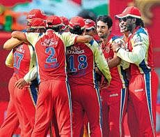 Happy Chappies: Royal Challengers have soared through Chris Gayle's brilliance and a groundswell of team spirit. AP