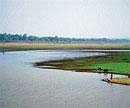 LOST GLORY: The Hesaraghatta tank. Photo by Poornima Dasharathi