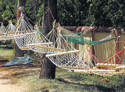 ideal for relaxing: Hammocks on sale on Vinoba road in Mysore. dh photos by prashanth h g