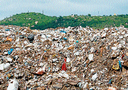 Dual Mountains: Heaps of plastic waste compete with Chamundi Hill for attention in Mysore. dh photos by prashanth h g