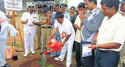 Minister for Youth Services and Sports M P Appacchu Ranjan watering a sapling in Kodagu Sainik School on Tuesday. DH&#8200;Photo