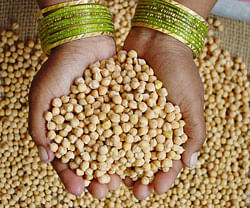 Indian scientists map Chickpea genome
