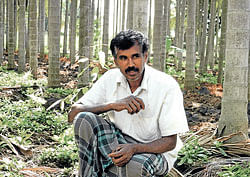 Collective effort Hanumantharaju, the man behind the group, has changed farmers perceptions about organic cultivation. (Photos by the author)
