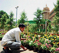 flowery welcome: An employee decorates the Vidhana Soudha premises with flowers in Bangalore on Friday.  dh photo