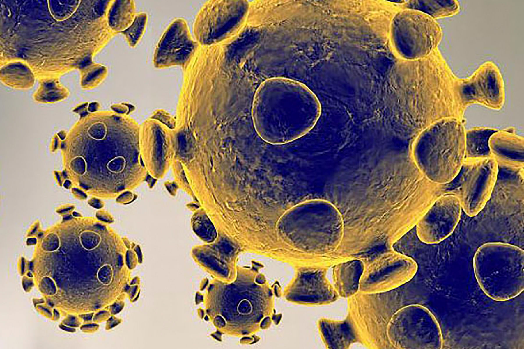 Coronavirus illustration. (Credit: AFP Photo)