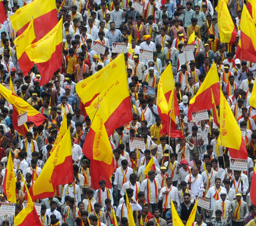 Karnataka Rakshana Vedike Flags / DH File Photo for representation only