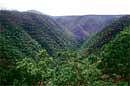 DEEP GORGES: A breathtaking view of the Moyar gorge. Photos by the B V Prakash