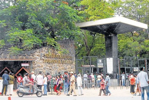 A view of Sri Chamarajendra Zoological Gardens. (inset) The e-ticketing counter.