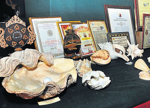 A variety of shells on display at the molluscan shell exhibition organised by the department of Applied Zoology of Mangalore University, at Ravindra Kala Bhavan in University College in Mangalore on Friday. DH photo