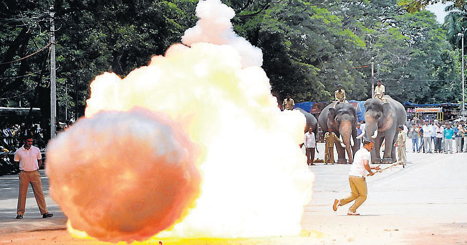 Dasara elephants being acclimatised to the cannon shots, during the practice session that was launched outside the fort of Mysore Palace on Saturday. DH PHOTO