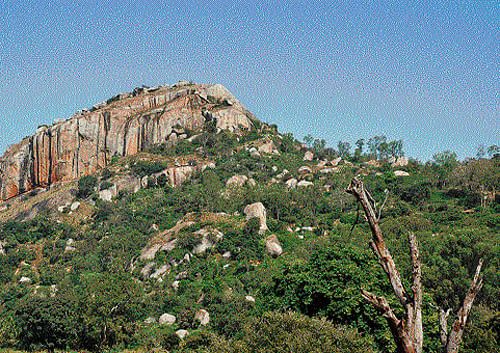 Hunting safaris: A view of  Devarayanadurga Hills  surrounded by scrub forests;