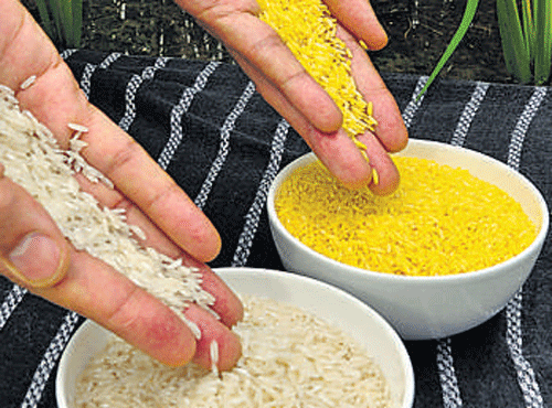 A new group, backed by moneyed foundations from the US and Europe, has lobbied for the regulatory approval of genetically-modified Golden Rice.