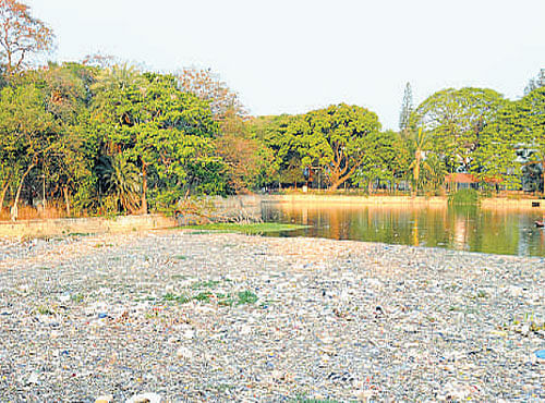 Officials in Anekal taluk came under censure from Bengaluru Urban Deputy Commissioner V Shankar and environmentalists appointed by the High Court of Karnataka for their failure to take steps to revive 230 dying lakes.