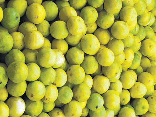 Horticulture dept proposes  to set up Lime Board