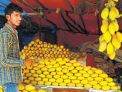 Hardworking Vasu, a mango seller.
