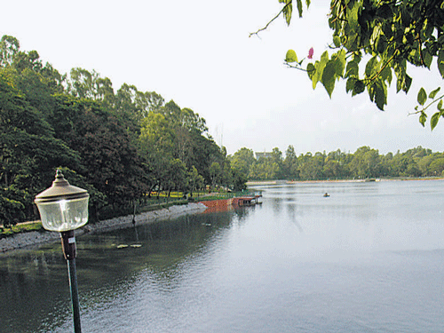 As per the IISc study, Sankey tank is going the Varthur lake way. DH file photo