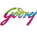 Godrej aims to seal buys in hair-colour, insecticide segments