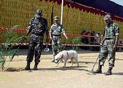 Army dog squad in action to ensure smooth conduct of the Republic Day celebrations at Manek Shaw Parade Grounds in Bangalore on Sunday. KPN