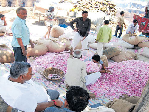 Auction of flowers used for making perfumes in a local market. (Right) Traditional way of making attar.