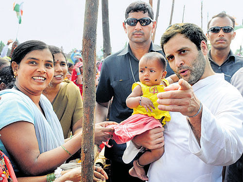 Rahul walked miles in Punjab to connect with farmers who have suffered huge crop loses on account of the white fly attack. He said industrialists are always given a 'red carpet welcome' by the Modi government while farmers are met with 'closed doors' by banks. DH file photo