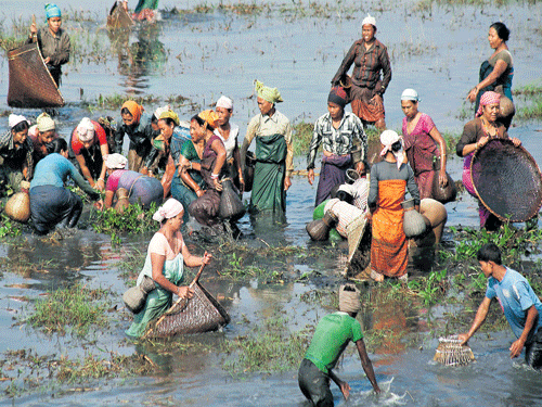 People indulge in community fishing at Joon Beel Mela in Morigaon district of Assam. RITURAJ SHIVAM