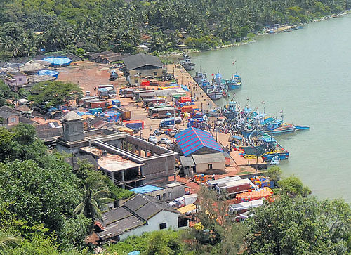 An aerial view of Bhatkal Fishing Harbour. Photo by author