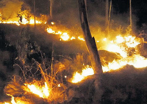 The fire which engulfed Nandi Hills recently. DH Photo