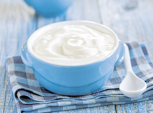 If you take the trouble to turn your sour curd into spiced buttermilk of various flavours, it can make your summer into a humble, healthy, and hydrated season.