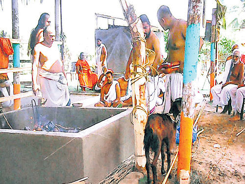 A view of the 'Soma Yaga' organised near Mattur in  Shivamogga taluk recently.