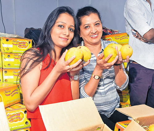 mouth-watering Visitors pose with mangoes at a stall at the mango and jackfruit mela at the Lalbagh on Tuesday.  The mela is on for a month. DH PHOTO