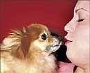 STRESS BUSTER: The magic of a pets greeting is indescribable