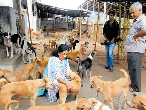 Geetha with her dogs in Snehalaya Animal Shelter in Coimbatore.