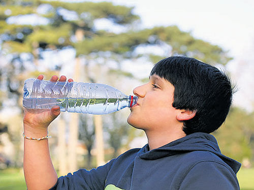 The new biofoam is also extremely light and inexpensive to make, making it a viable tool for water purification and desalination. File Photo for representation.