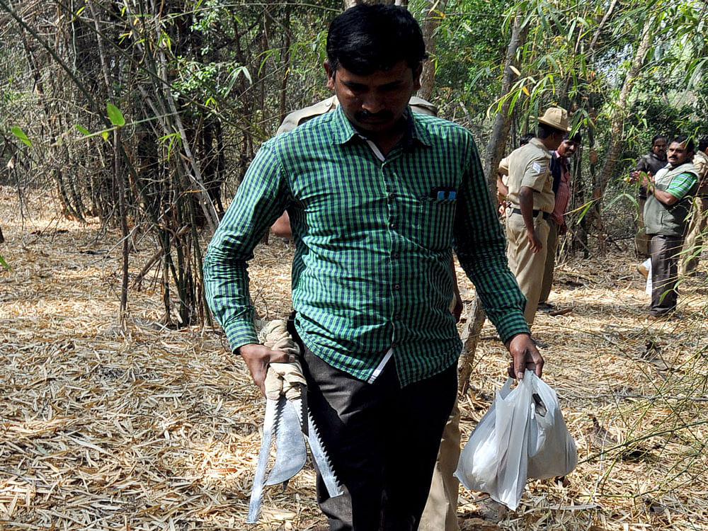 Forest personnel recover the tools used by suspected sandalwood thieves in the Lingambudhi Lake area in Mysuru on Saturday. DH Photo