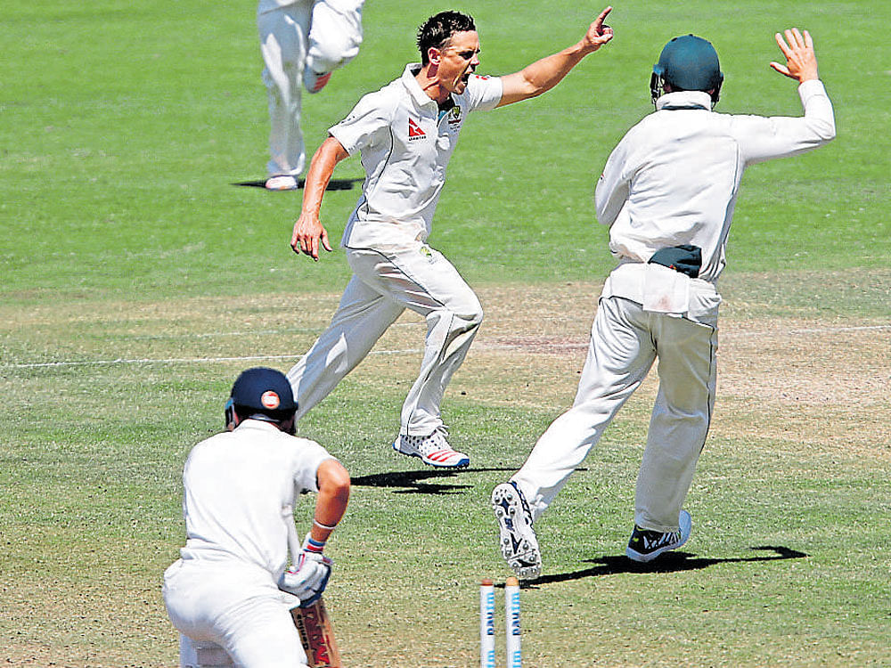 Australia's Steve O'Keefe (C) celebrates with teammates the wicket of Indian captain Virat Kohli. Reuters