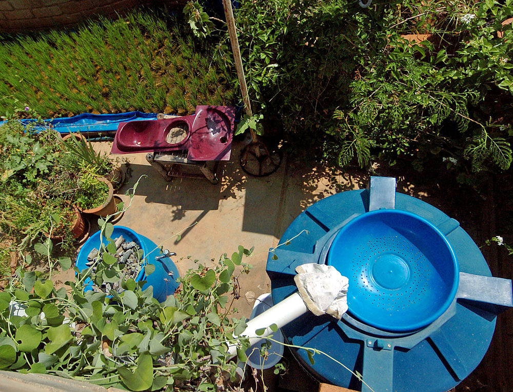 Common: Rooftop rainwater harvesting is the method that is usually employed in homes. DH File Photos