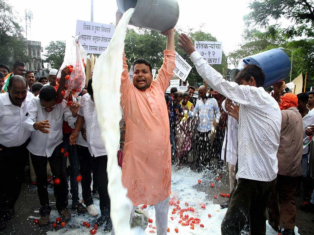 Farmers and NCP activists throw away milk on the road outside Collector's office during a protest over farmers' issues in Thane, Mumbai on Saturday. PTI Photo