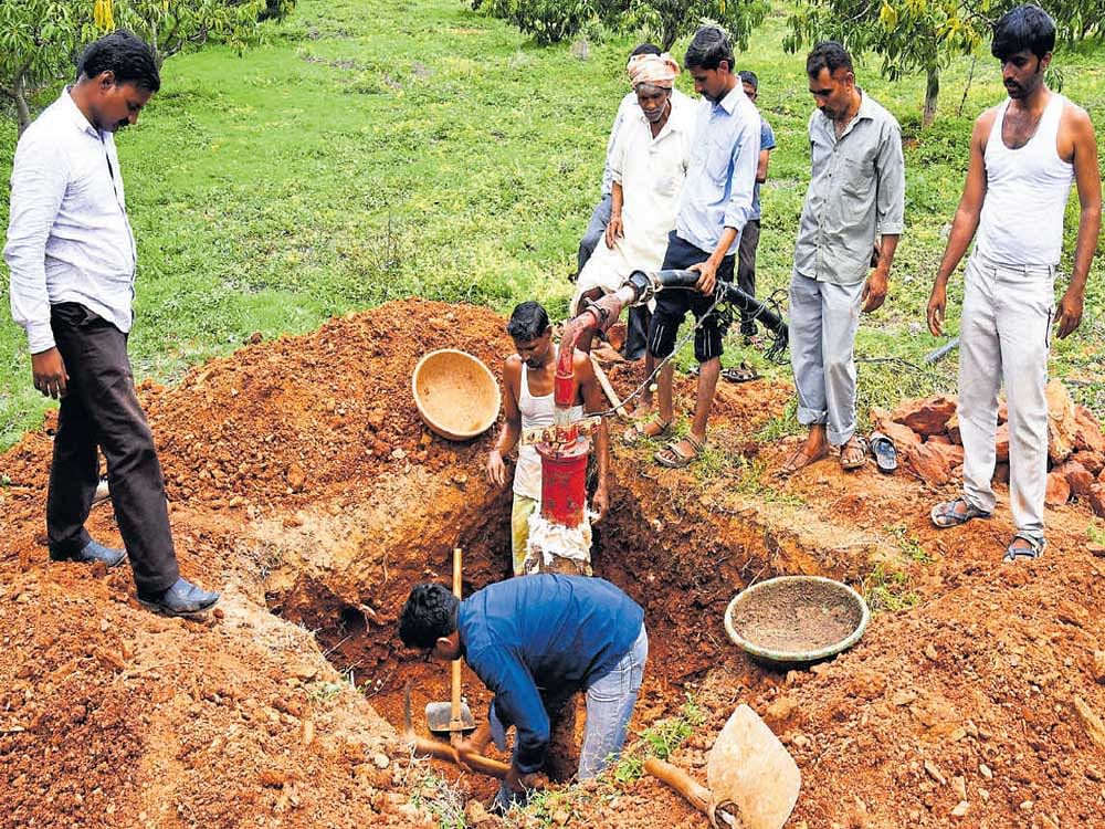 Members of Nanasaheb Dharmadhikari Pratishthan working with farmers to dig a trench around a borewell. Dh Photo