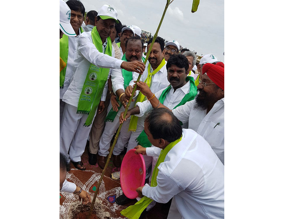 Telangana Chief Minister K Chandrasekhar Rao planting a sapling in Karimnagar