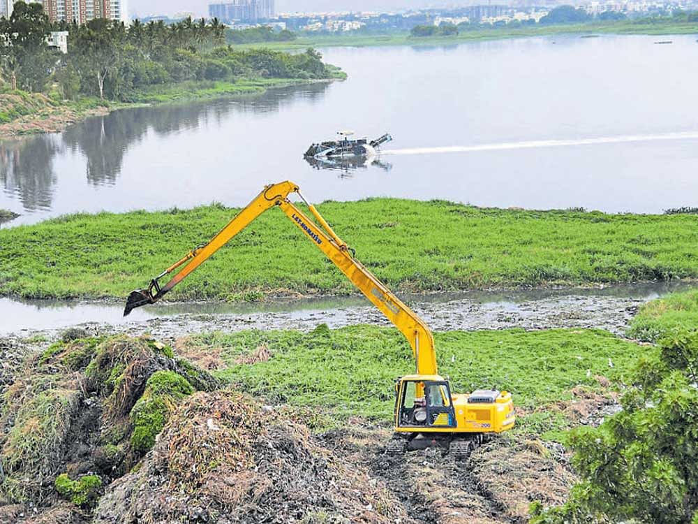 There were numerous timely directions issued by the NGT in order to safeguard the irreversible damage caused due to discharge of effluents by factories and establishments around the lake. DH Photo