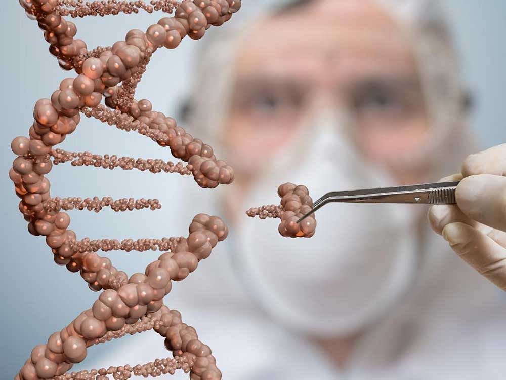 Scientist is replacing part of a DNA molecule. Genetic engineering and gene manipulation concept. While scientists work to get human embryonic editing ready for clinical trials (currently illegal in many countries), alternate medical treatments for inherited diseases might be developed.