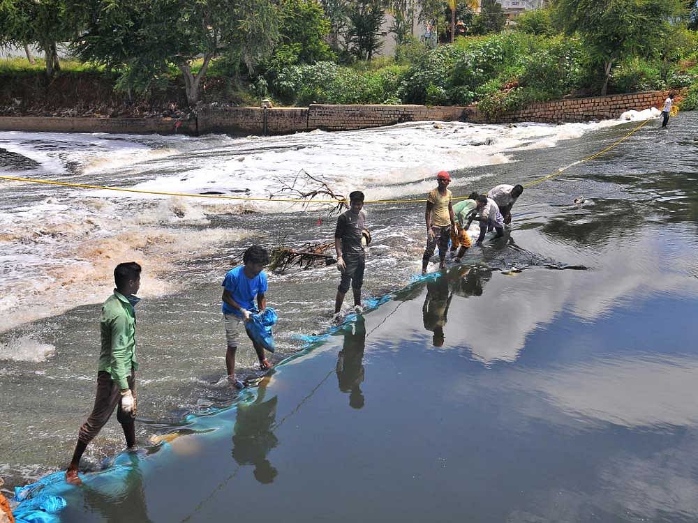 BDA officials and workers associated with Gitanjali Envirotech, working on reducing the froth at the most 'popular' and polluted Bellandur Lake, in Bengaluru on Sunday. DH Photos