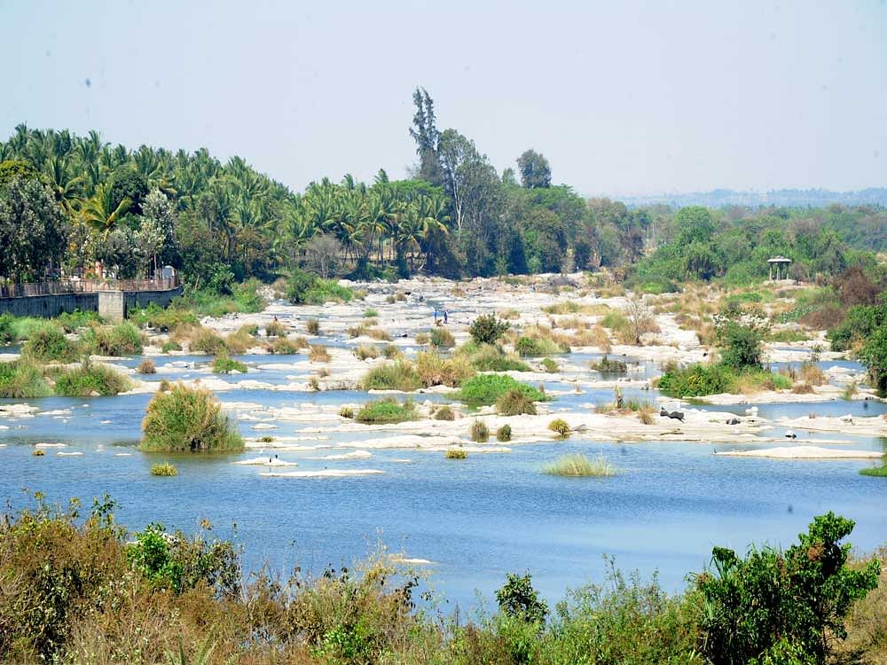 The 600.7 sq km area around the park houses 72 revenue villages and 35 forest villages. DH file photo