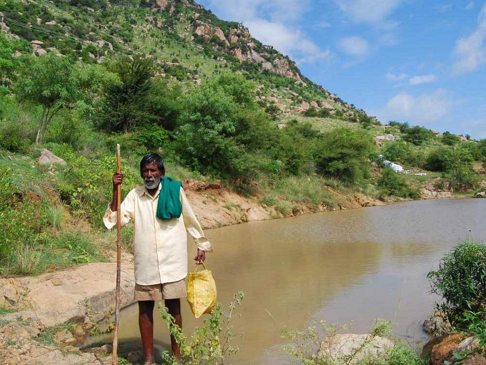 Kamegowda walks past the pond he built atop Kundani Hill in Malavalli taluk, Mandya district. DH Photo