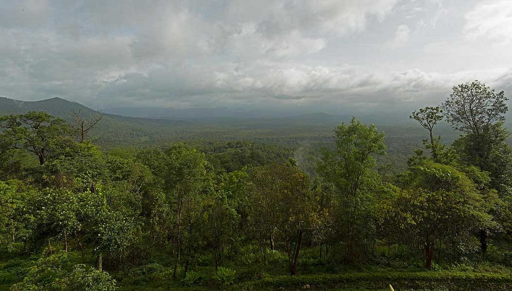 Picturesque: A view of Jagara Valley in Chikkamagaluru district.