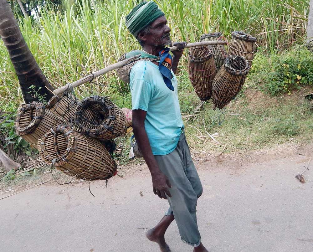 A fisherman carrying a bamboo basket, 'kodape', used to catch 'havbatti' fish. Photo by author.