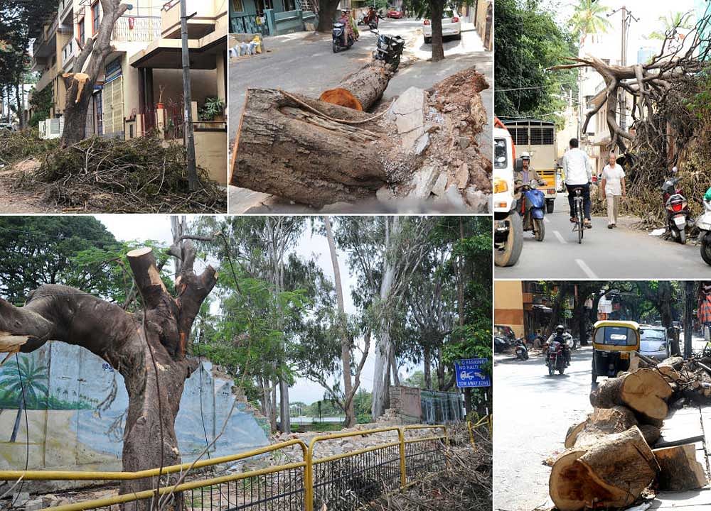 Combo pictures of uprooted trees and their branches which remain uncleared after the recent rain in the city. The scene on Thursday in Ashoknagar, Hanumanthanagar, Gandhi Bazaar and the collapsed compound of Lalbagh in front of R V Teachers College. DH Photo Srikanta Sharma R.