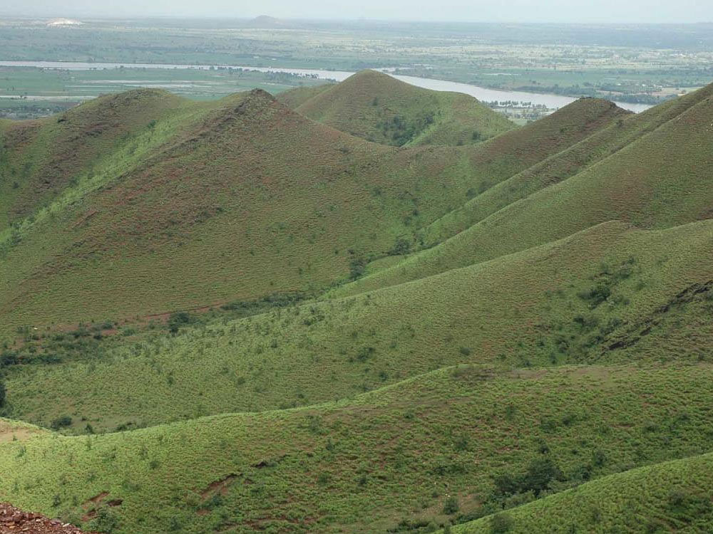 The lush green Kappatagudda Hills in Shirahatti taluk, Gadag district, have rich reserves of iron ore and gold. Ramgad Minerals and Mining Ltd, owned by Baldota, has sought an NOC from the Forest Department for gold mining. dh file photo