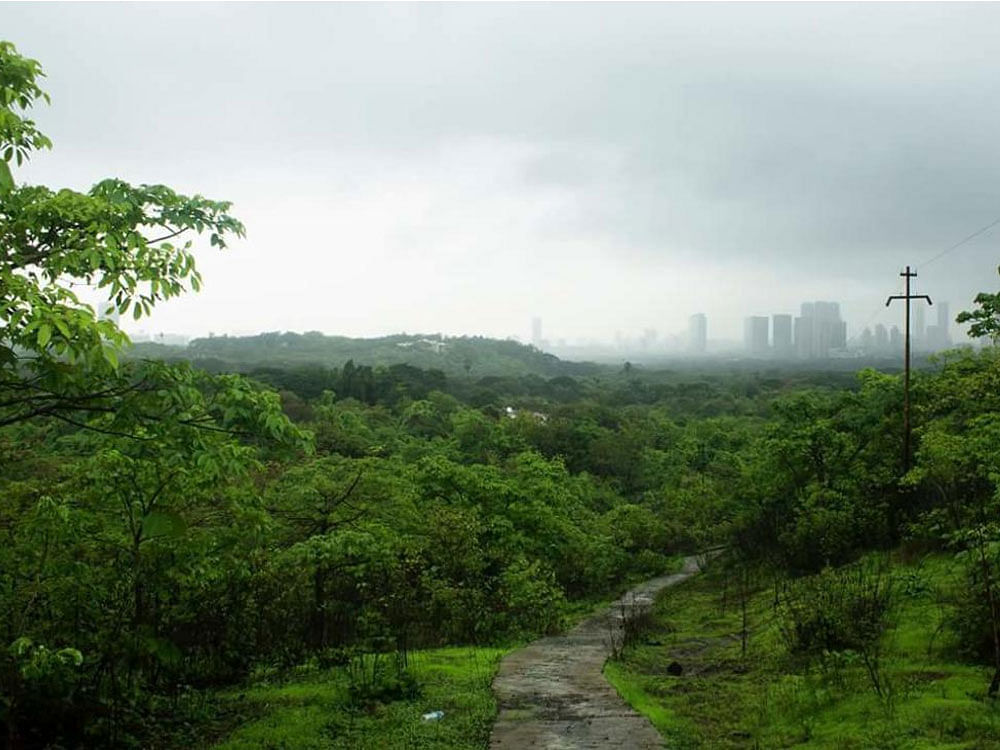Aarey Milk Colony or Aarey Colony that can be accessed from Goregaon on the western suburbs and Powai on the eastern suburbs